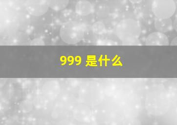 999 是什么